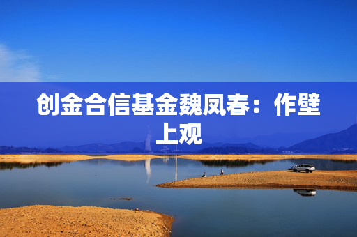 创金合信基金魏凤春：作壁上观