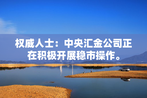权威人士：中央汇金公司正在积极开展稳市操作。