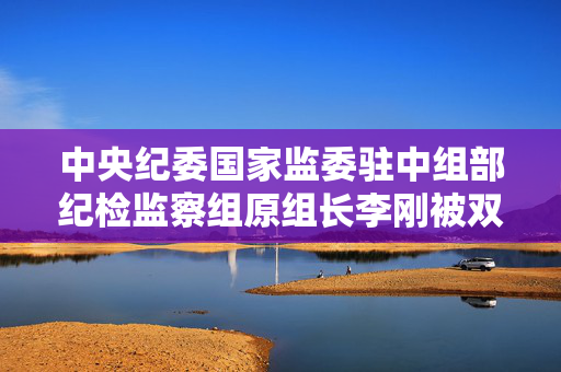 中央纪委国家监委驻中组部纪检监察组原组长李刚被双开