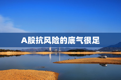 A股抗风险的底气很足