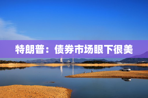 特朗普：债券市场眼下很美