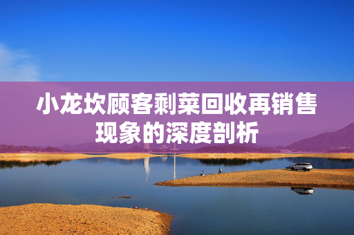 小龙坎顾客剩菜回收再销售现象的深度剖析