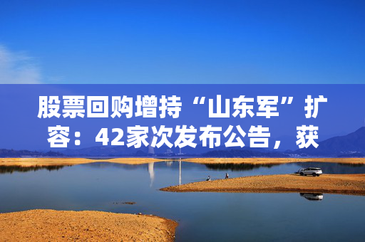 股票回购增持“山东军”扩容：42家次发布公告，获批贷款64亿