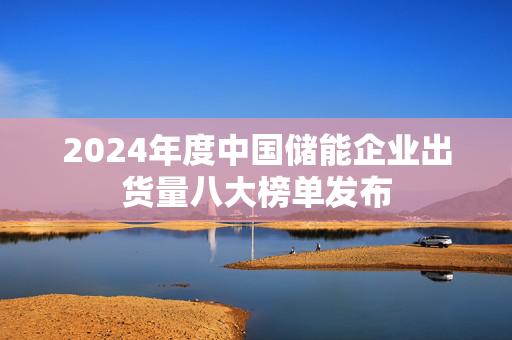 2024年度中国储能企业出货量八大榜单发布