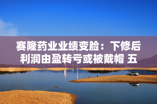 赛隆药业业绩变脸：下修后利润由盈转亏或被戴帽 五年四度修正业绩遭监管问询
