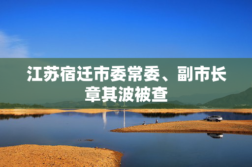 江苏宿迁市委常委、副市长章其波被查