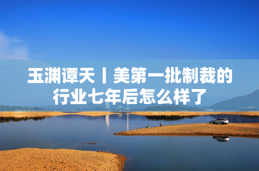 玉渊谭天丨美第一批制裁的行业七年后怎么样了