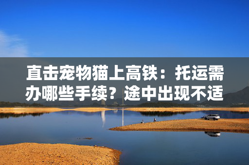 直击宠物猫上高铁：托运需办哪些手续？途中出现不适怎么办？