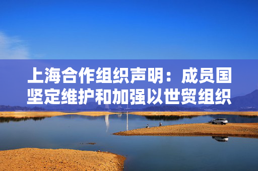 上海合作组织声明：成员国坚定维护和加强以世贸组织为核心的多边贸易体制