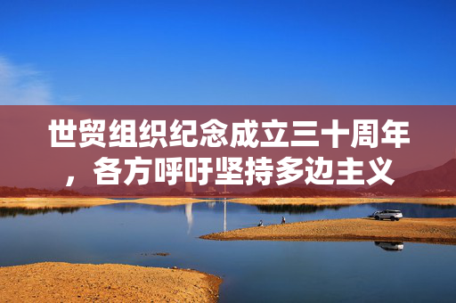 世贸组织纪念成立三十周年，各方呼吁坚持多边主义