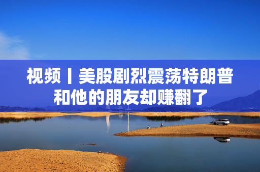 视频丨美股剧烈震荡特朗普和他的朋友却赚翻了