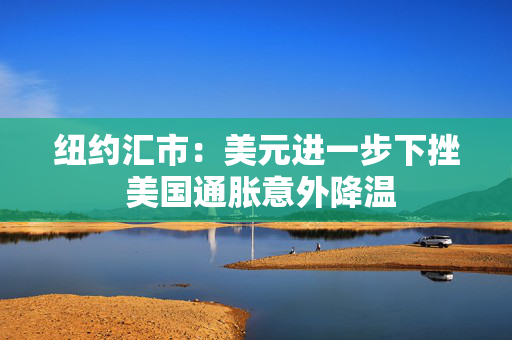 纽约汇市：美元进一步下挫 美国通胀意外降温