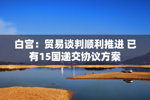 白宫：贸易谈判顺利推进 已有15国递交协议方案