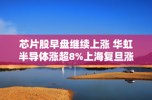 芯片股早盘继续上涨 华虹半导体涨超8%上海复旦涨超5%