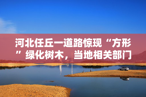河北任丘一道路惊现“方形”绿化树木，当地相关部门：为避免接触高压电线