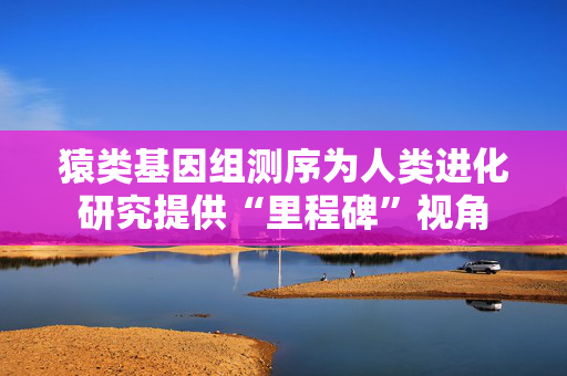 猿类基因组测序为人类进化研究提供“里程碑”视角