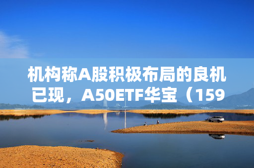 机构称A股积极布局的良机已现，A50ETF华宝（159596）涨0.67%