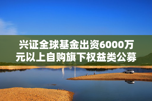 兴证全球基金出资6000万元以上自购旗下权益类公募基金