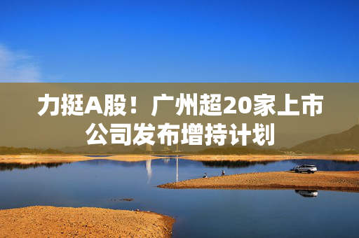 力挺A股！广州超20家上市公司发布增持计划