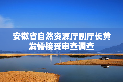 安徽省自然资源厅副厅长黄发儒接受审查调查