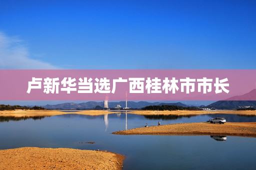 卢新华当选广西桂林市市长