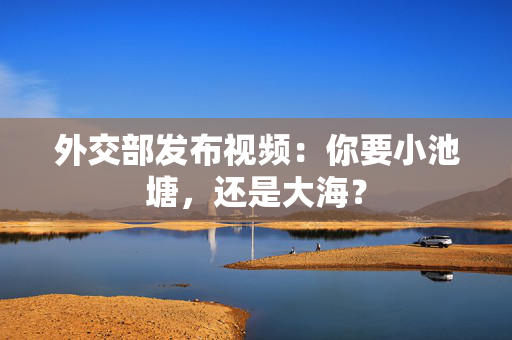 外交部发布视频：你要小池塘，还是大海？