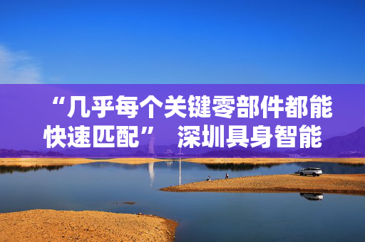 “几乎每个关键零部件都能快速匹配”  深圳具身智能生态先行一步