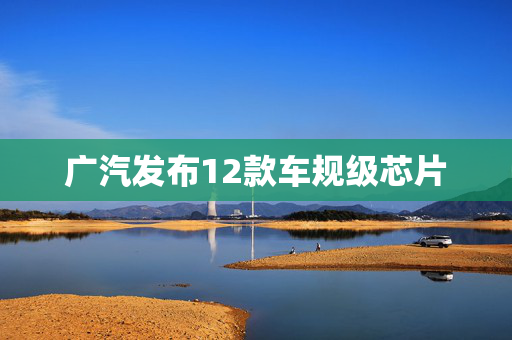 广汽发布12款车规级芯片