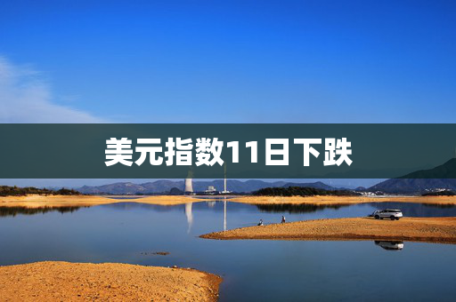 美元指数11日下跌