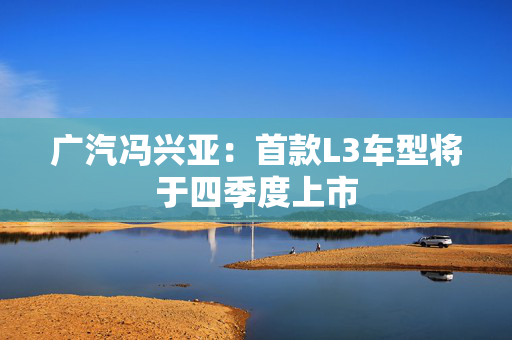 广汽冯兴亚：首款L3车型将于四季度上市