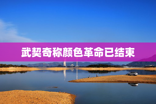 武契奇称颜色革命已结束