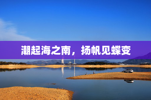 潮起海之南，扬帆见蝶变