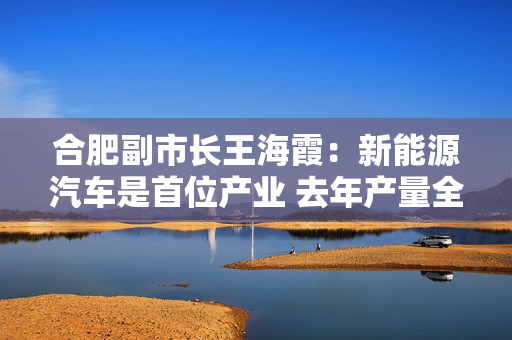 合肥副市长王海霞：新能源汽车是首位产业 去年产量全国第二