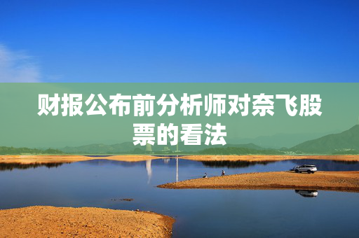 财报公布前分析师对奈飞股票的看法