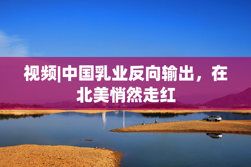 视频|中国乳业反向输出，在北美悄然走红