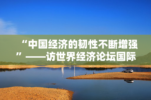 “中国经济的韧性不断增强”——访世界经济论坛国际贸易和投资部负责人西恩·多赫迪