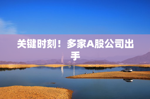 关键时刻！多家A股公司出手