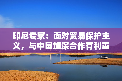 印尼专家：面对贸易保护主义，与中国加深合作有利重塑全球经济格局