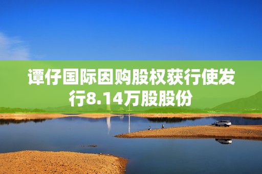 谭仔国际因购股权获行使发行8.14万股股份
