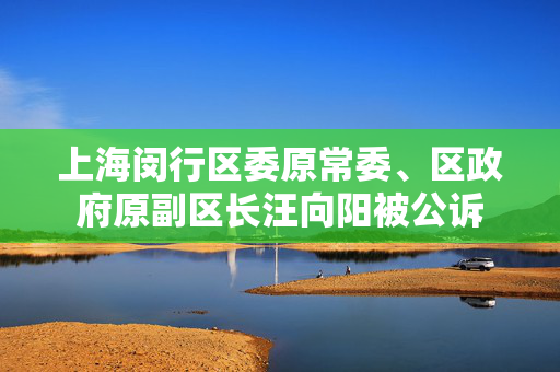 上海闵行区委原常委、区政府原副区长汪向阳被公诉