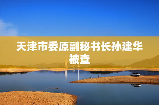 天津市委原副秘书长孙建华被查