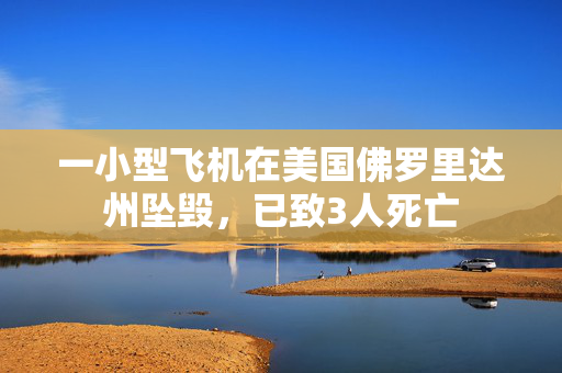 一小型飞机在美国佛罗里达州坠毁，已致3人死亡