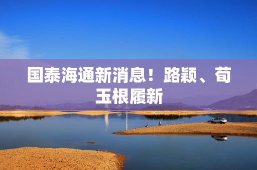 国泰海通新消息！路颖、荀玉根履新