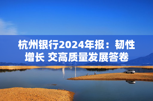 杭州银行2024年报：韧性增长 交高质量发展答卷