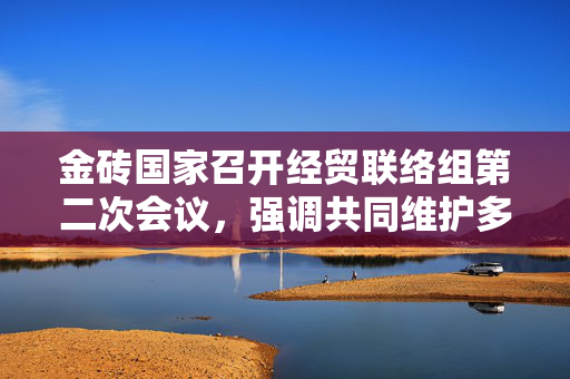 金砖国家召开经贸联络组第二次会议，强调共同维护多边贸易体制，反对单边主义和贸易保护主义