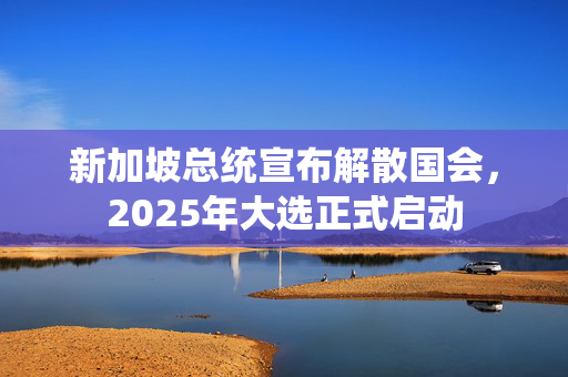 新加坡总统宣布解散国会，2025年大选正式启动