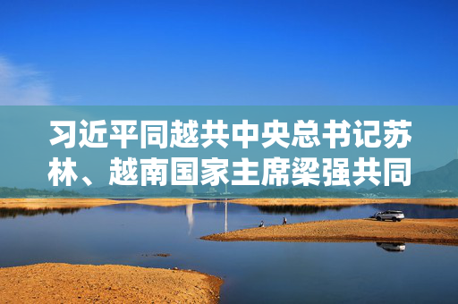 习近平同越共中央总书记苏林、越南国家主席梁强共同会见中越人民大联欢活动代表
