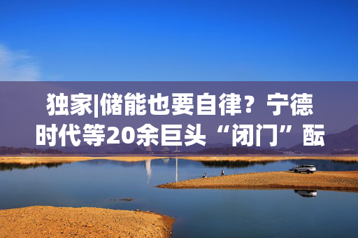独家|储能也要自律？宁德时代等20余巨头“闭门”酝酿倡议
