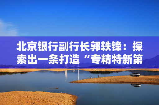 北京银行副行长郭轶锋：探索出一条打造“专精特新第一行”的差异化发展道路