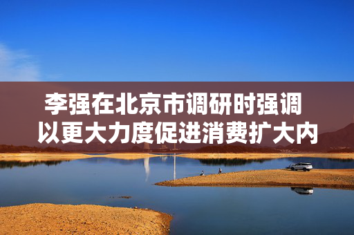 李强在北京市调研时强调 以更大力度促进消费扩大内需做强国内大循环